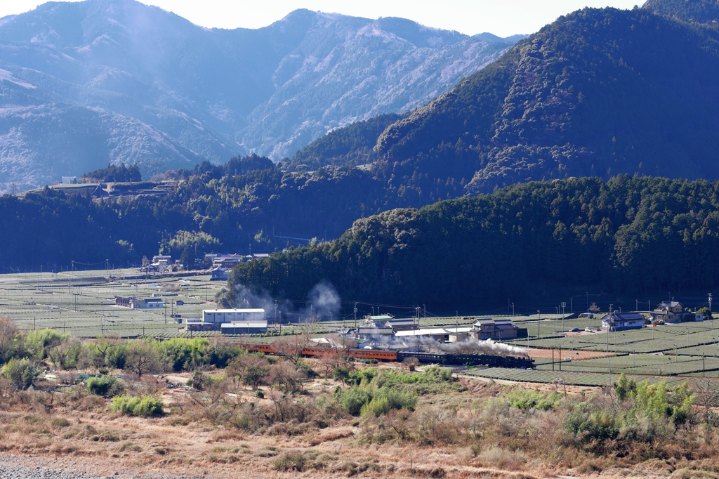 抜里駅通過のC11190
