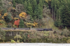 C10 8 at 昭和橋