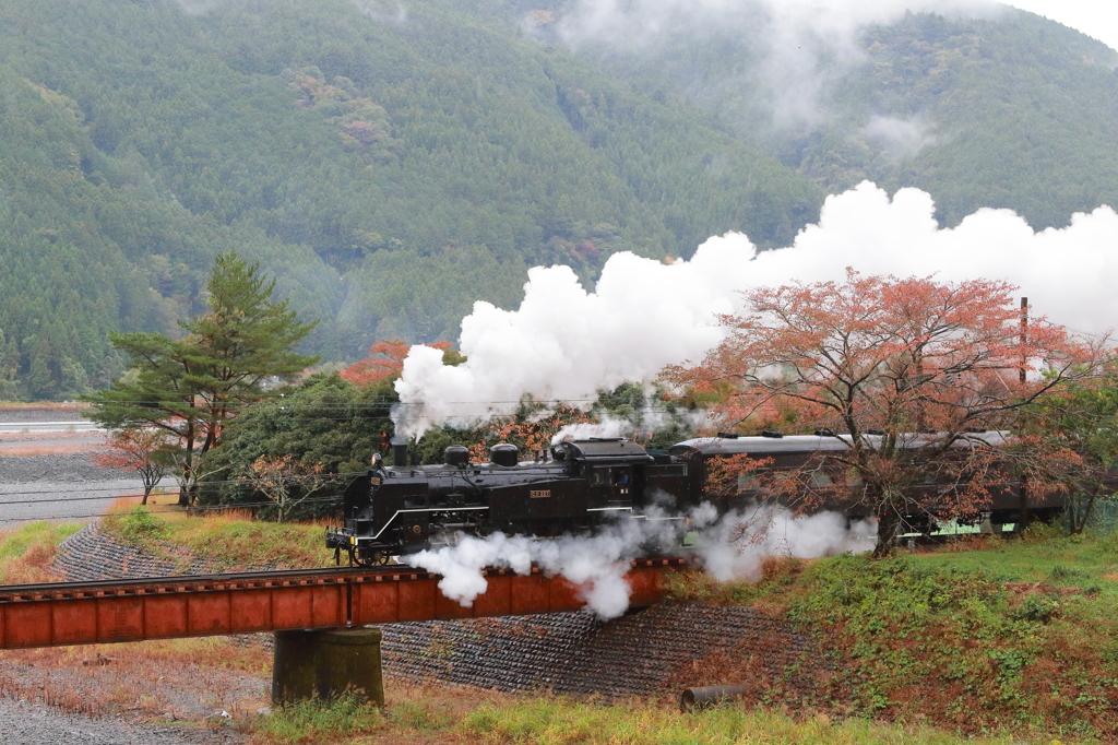 C11227 at 雨の下泉