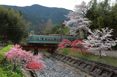 徳山の桃沢川のズームカー