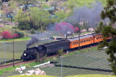 抜里駅通過のｃ108