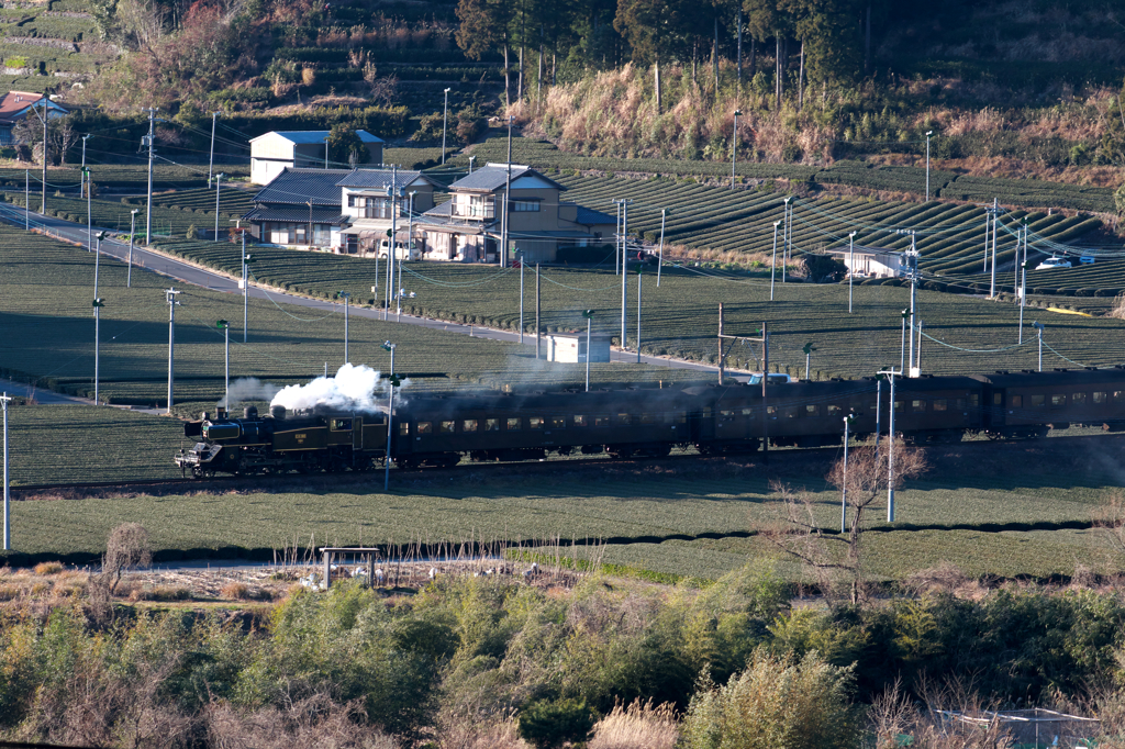 C11190 at 抜里築堤