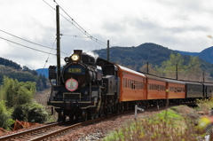 桜ヘッドマークのC11190