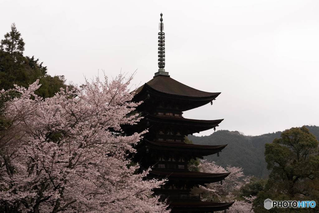 瑠璃光寺五重塔