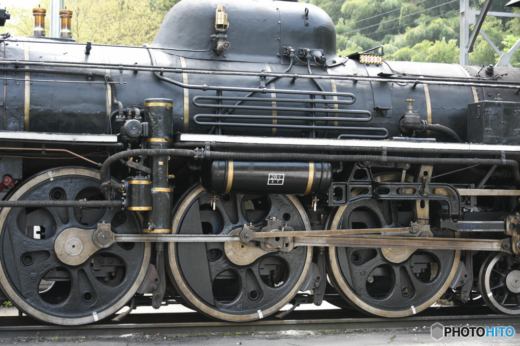 展示車両D51