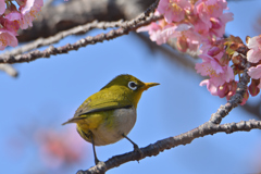 ちょっと振り向いてみただけ