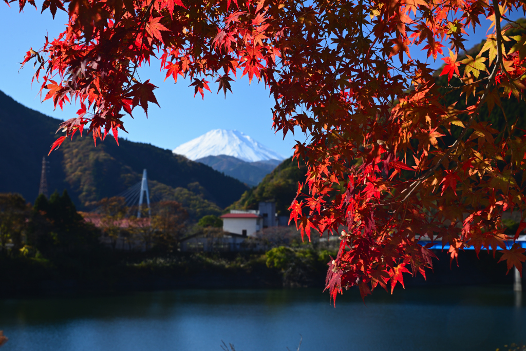 湖畔