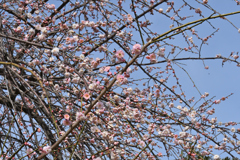 試してなるほど