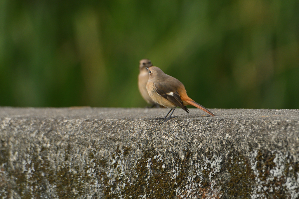 テーブルに着いて-1