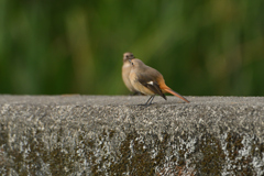 テーブルに着いて-1