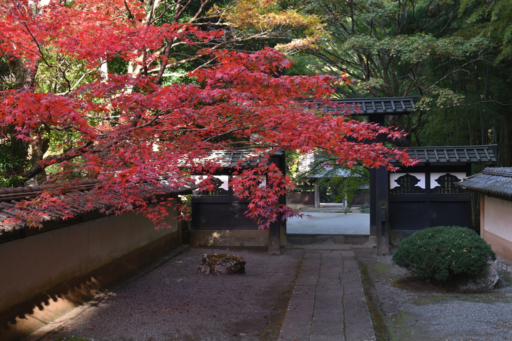 山寺の彩