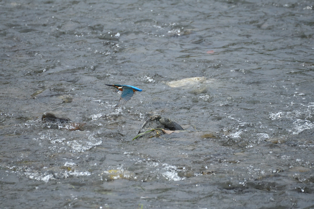 小さなタッチアンドゴー-4