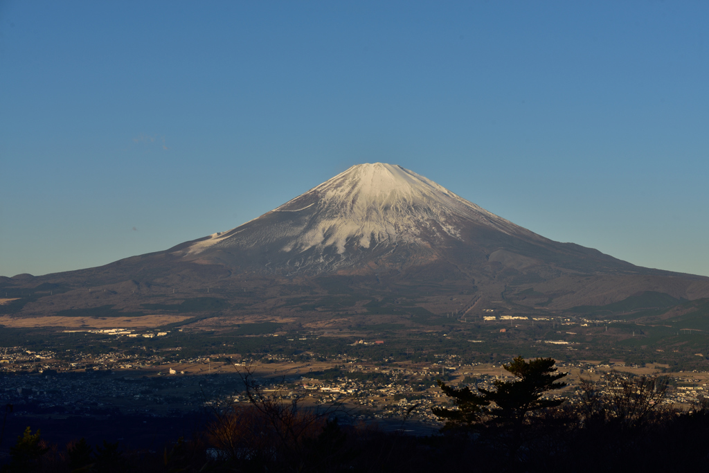 明るい正月