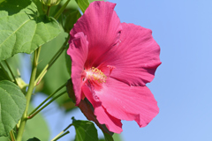 2020夏-4