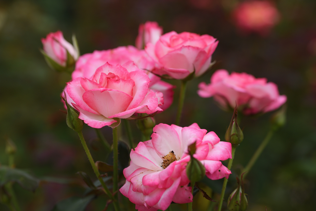 今週もお疲れ様でした ①