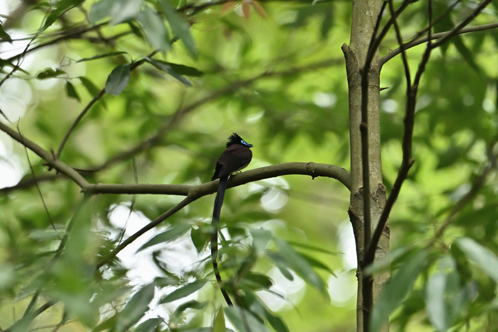 暗闇に青の魅力-2
