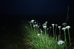雨の夜は