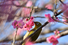 こんな日もあり