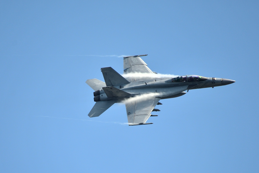 F/A-18_113