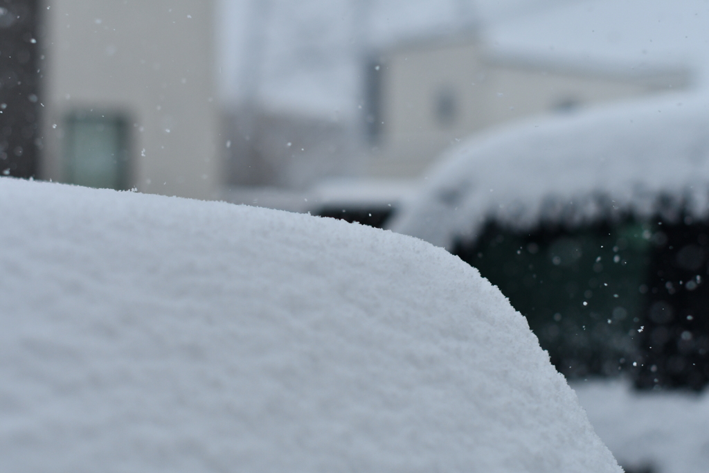 雪が降る