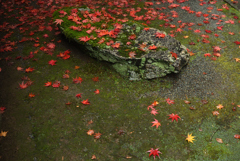 山寺の庭