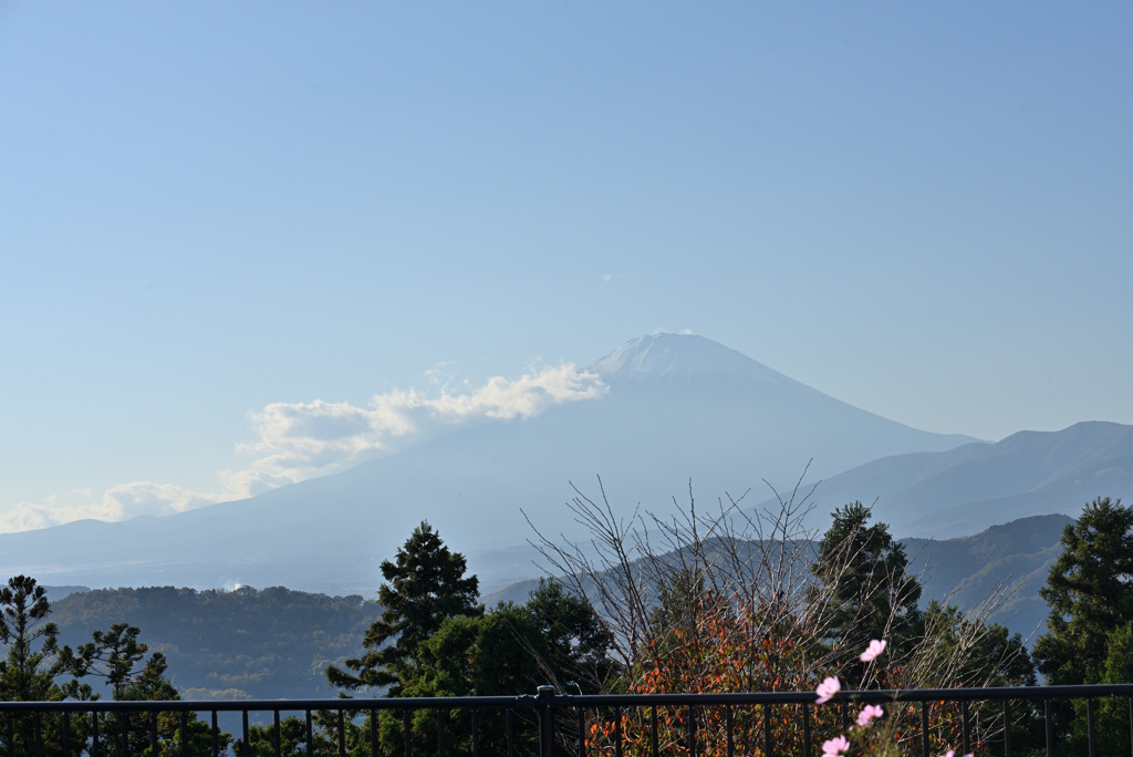 お山