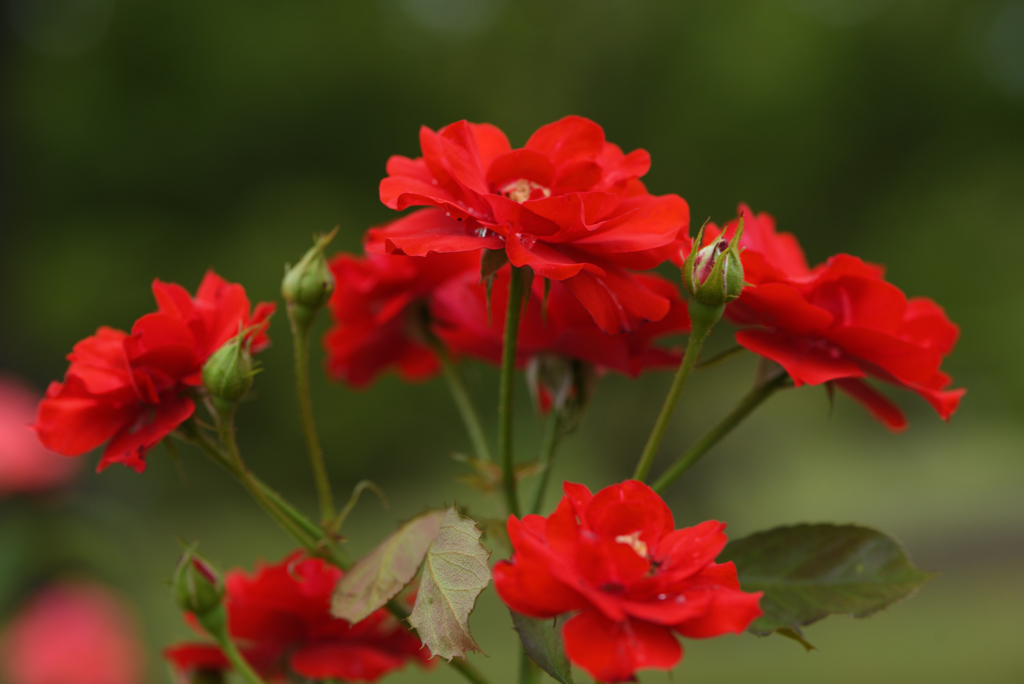 今週もお疲れ様でした ②