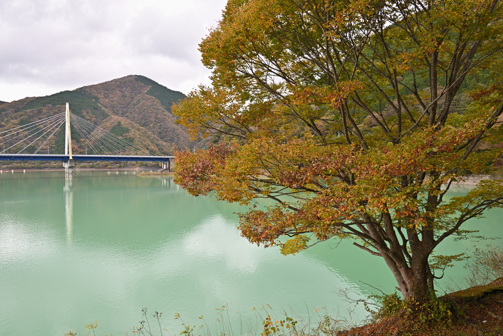 湖畔の秋-2