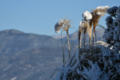 目覚めたら雪国-3