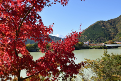 紅葉とお山