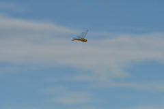 秋の空