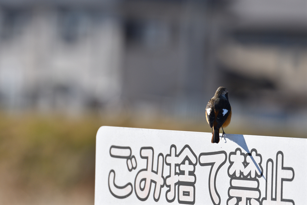 背中で語る