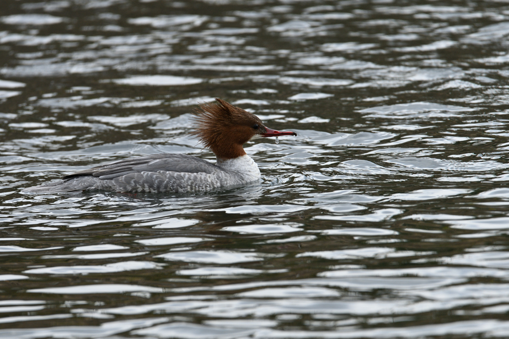 のんびりムード
