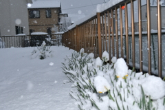 どんどん積もる