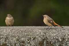 テーブルに着いて-3