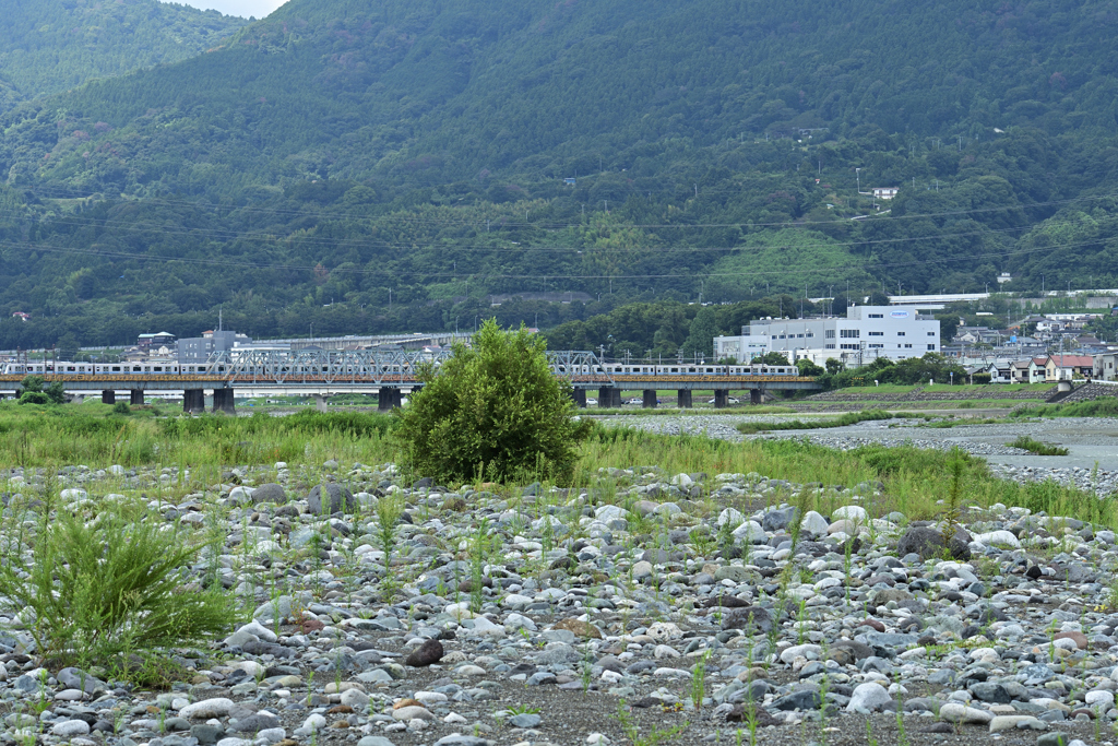 河原と電車