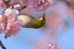 暖かい光