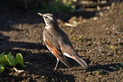 年が変わっても-3