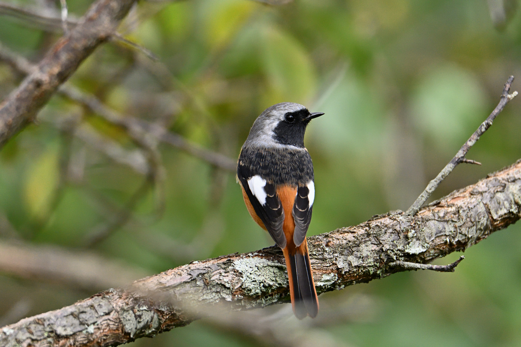 殿、長旅のご苦労お察し申す