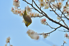 この姿が好き(青空)