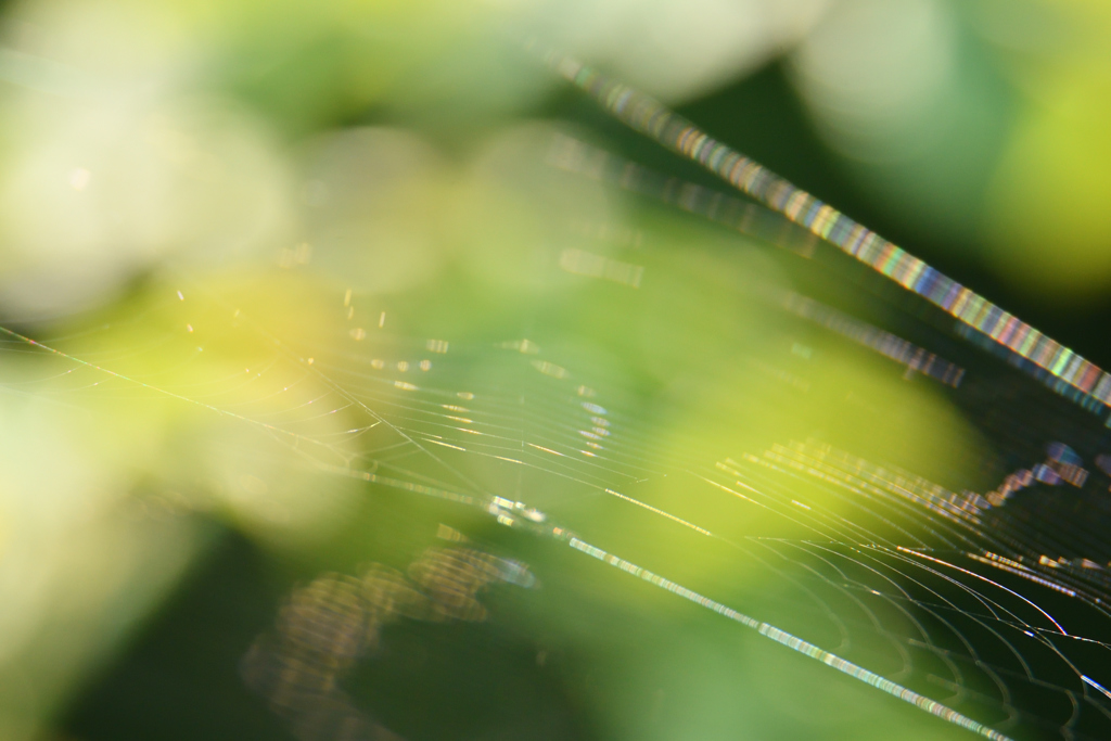 スペクトルとボケ