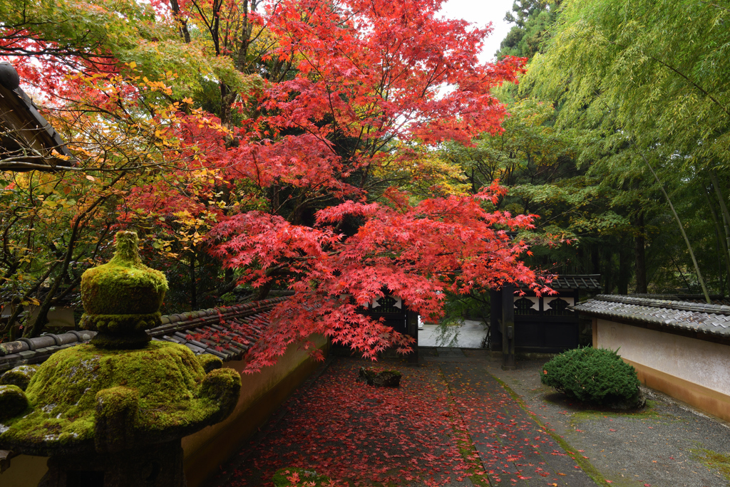 山寺の秋