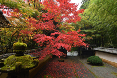 山寺の秋