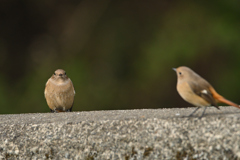 テーブルに着いて-2