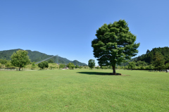 15mmの夏独り占め①