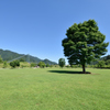15mmの夏独り占め①