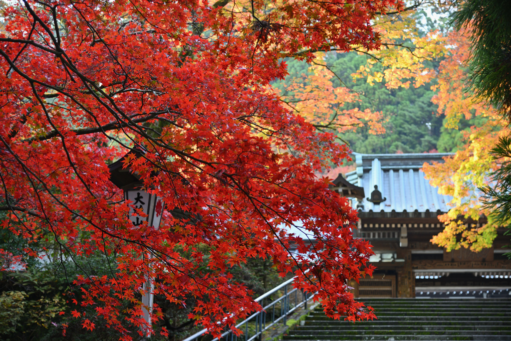 山のお寺の日が陰る頃