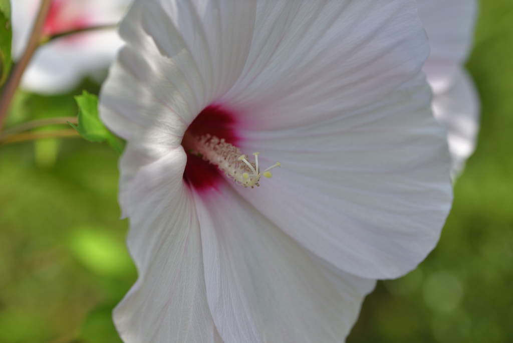 大きな優しさ-2
