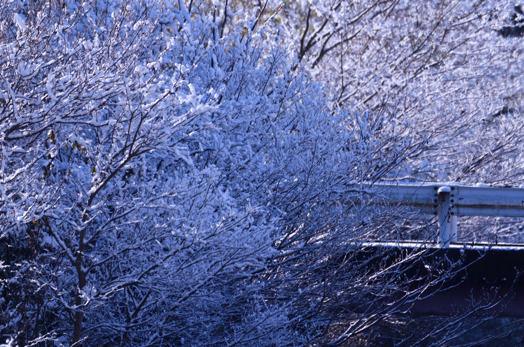 目覚めたら雪国-2