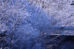 目覚めたら雪国-2